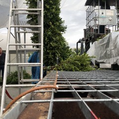 Carro floreale Madonna del Rosario JPG