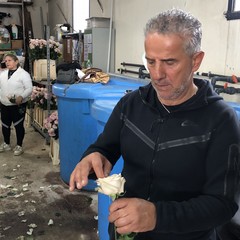 Carro floreale Madonna del Rosario JPG