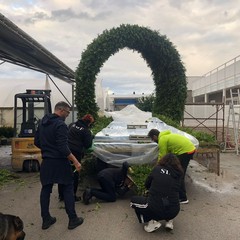 Carro floreale Madonna del Rosario