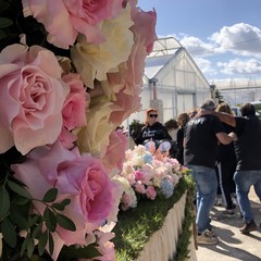 Carro floreale Madonna del Rosario JPG