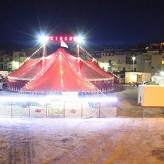 circo zavatta