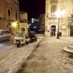 neve