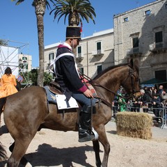 Corsa all'anello 2019