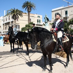Corsa all'anello 2019