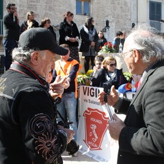 Corsa all'anello 2019