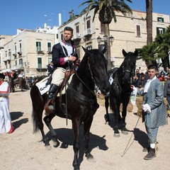 Corsa all'anello 2019