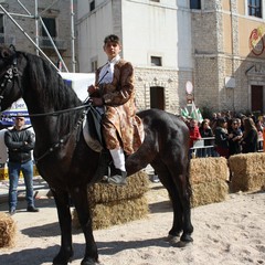 Corsa all'anello 2019