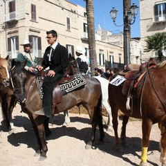 Corsa all'anello 2019
