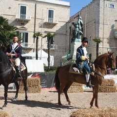 Corsa all'anello 2019