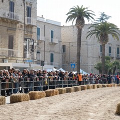 cosa all'anello 2019