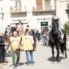 cosa all'anello 2019