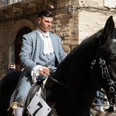 cosa all'anello 2019