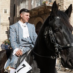cosa all'anello 2019