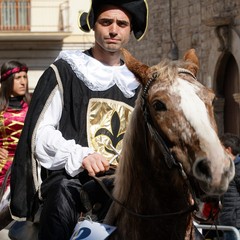 cosa all'anello 2019