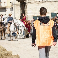 cosa all'anello 2019