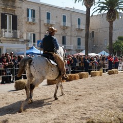 cosa all'anello 2019
