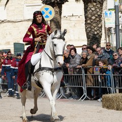 cosa all'anello 2019