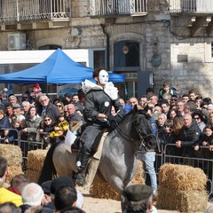 cosa all'anello 2019