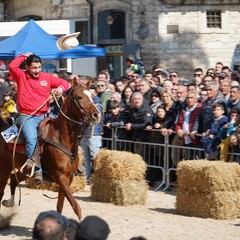 cosa all'anello 2019