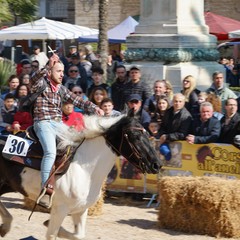 cosa all'anello 2019