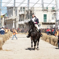 cosa all'anello 2019