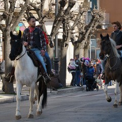 cosa all'anello 2019