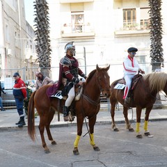 cosa all'anello 2019