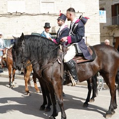cosa all'anello 2019