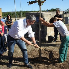 Dichiarazione di Emergenza Climatica JPG