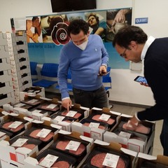 Distribuzione beni alimentari Terlizzi