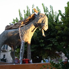 Festa del ciuccio