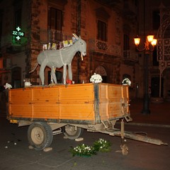 Festa del ciuccio