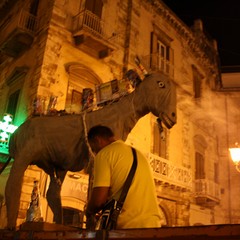 Festa del ciuccio