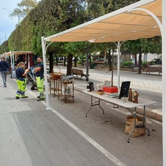 Festa del Riuso Sanb-11 maggio 2025
