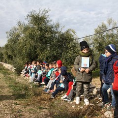 Festa dellalbero nellazienda Colle Optimo f lli Ruggiero JPG