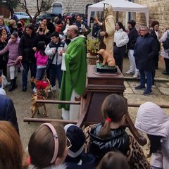 Festa di San Antonio Abate Anpana