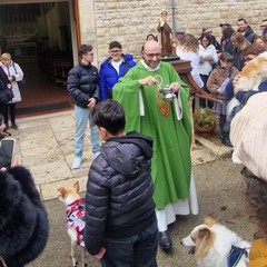 Festa di San Antonio Abate Anpana