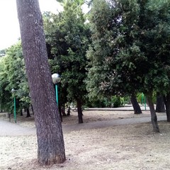 IManutenzione parchi e giardini