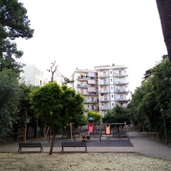 IManutenzione parchi e giardini