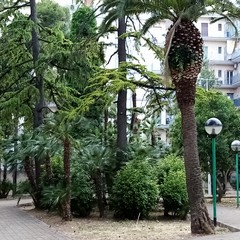 IManutenzione parchi e giardini