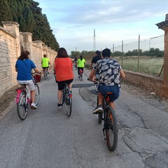 Vivila in bici