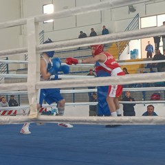 'PalaChicoli' Campionati regionali giovanili boxe