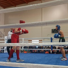 'PalaChicoli' Campionati regionali giovanili boxe