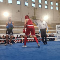 'PalaChicoli' Campionati regionali giovanili boxe