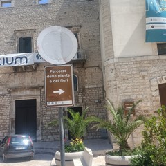 Segnale verticale illegibile, piazza Cavour