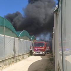 Incendio in un'azienda florovivaistica di Terlizzi