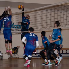 Polis Terlizzi-New Volley Lucera 3-1