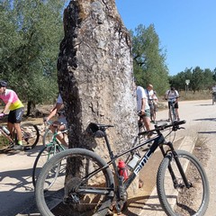 Terlizzi, "Domenica in Bici 2024" fa visita a Torre di Lerma