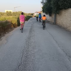 Vivila in bici