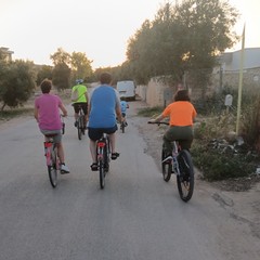 Vivila in bici